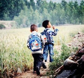 新疆河南一家四口结伴游中国2个月(河南适合一家四口旅游的地方)