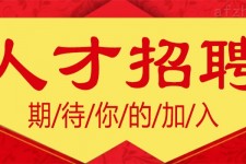 新疆上海伴游招聘 招聘 | 浦东机场专柜销售
