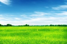新疆上海伴游 上海模特伴游微信号的交友宣言