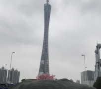 新疆广州游玩攻略(广州游玩攻略景点大全免费)