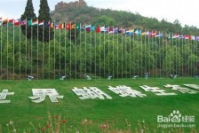 新疆昆明旅游攻略(昆明旅游攻略景点大全抚仙湖)