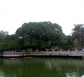 新疆福州旅游攻略(福州旅游攻略二日游)
