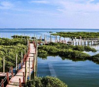 新疆旅游哪里好玩(云南旅游哪里好玩)