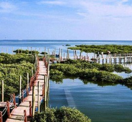 新疆旅游哪里好玩(云南旅游哪里好玩)