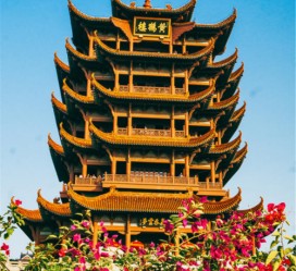 新疆武汉游玩攻略(武汉游玩攻略路线)
