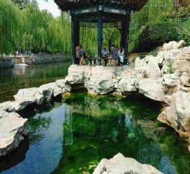 新疆济南旅游攻略(青岛威海济南旅游攻略)