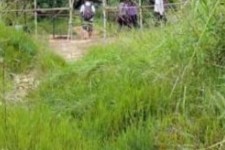 新疆苍溪学生做伴游兼职(苍溪学生做伴游兼职怎么样)