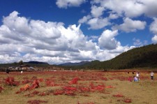 新疆旅游去处(暑期最好的旅游去处)