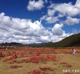 新疆旅游去处(暑期最好的旅游去处)