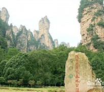 新疆自驾旅游攻略(自驾旅游攻略app排行榜)