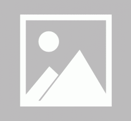 新疆商务伴游招聘 不法分子冒充宾馆网上高薪招吧女要求思想前卫